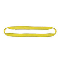 3 Ply 22 x 30 Endless Polyester Web Sling S354