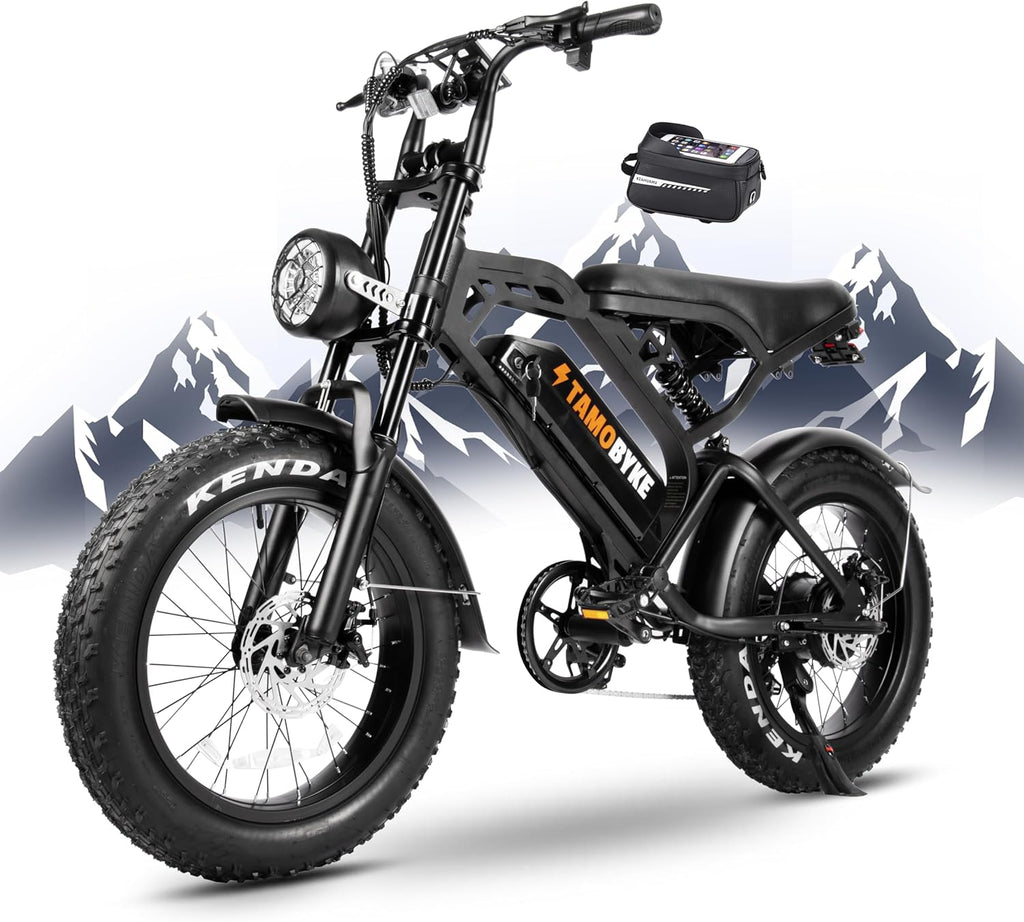 20'' Fat Tire Electric Bike with 1000W Motor J2415