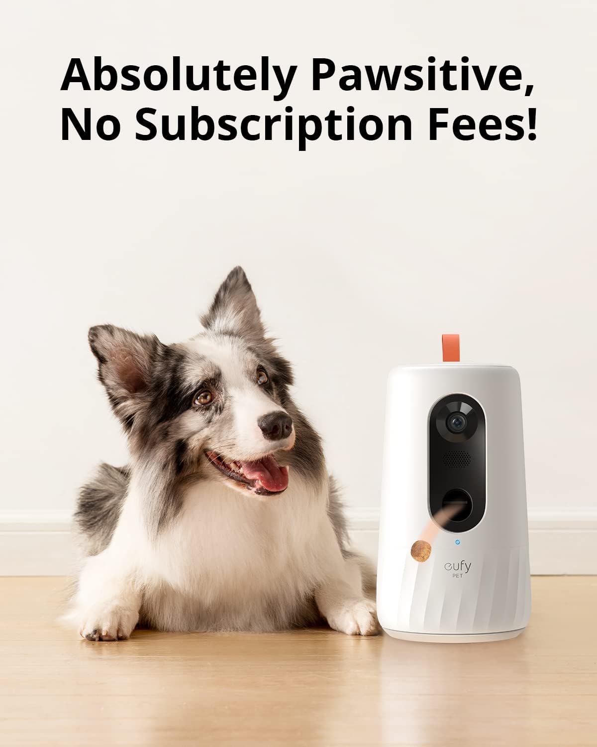 1080p Pet Camera with Treat Dispenser C3325