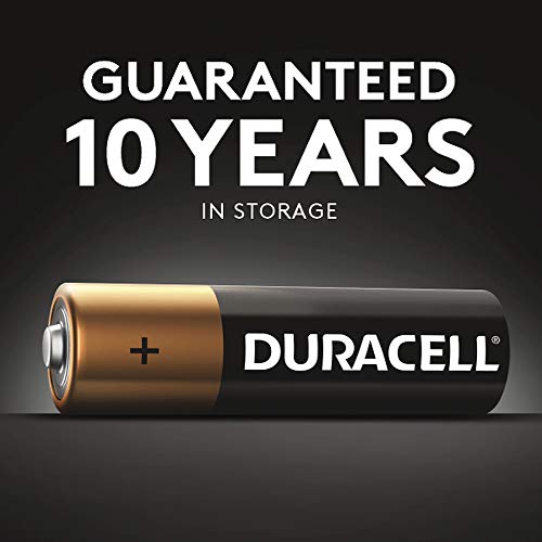 AA Alkaline Batteries, 24 per Box K258720
