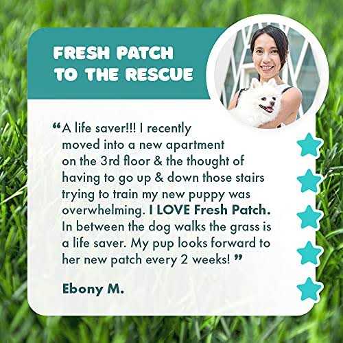 Large Real Grass Pee and Potty Training Pad for Dogs D9048