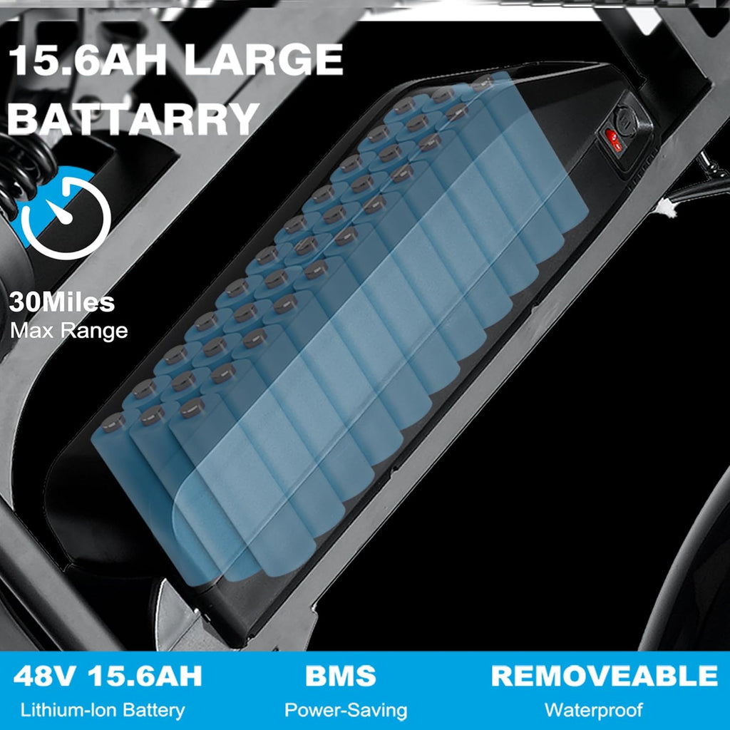 20'' Fat Tire Electric Bike with 1000W Motor J2415