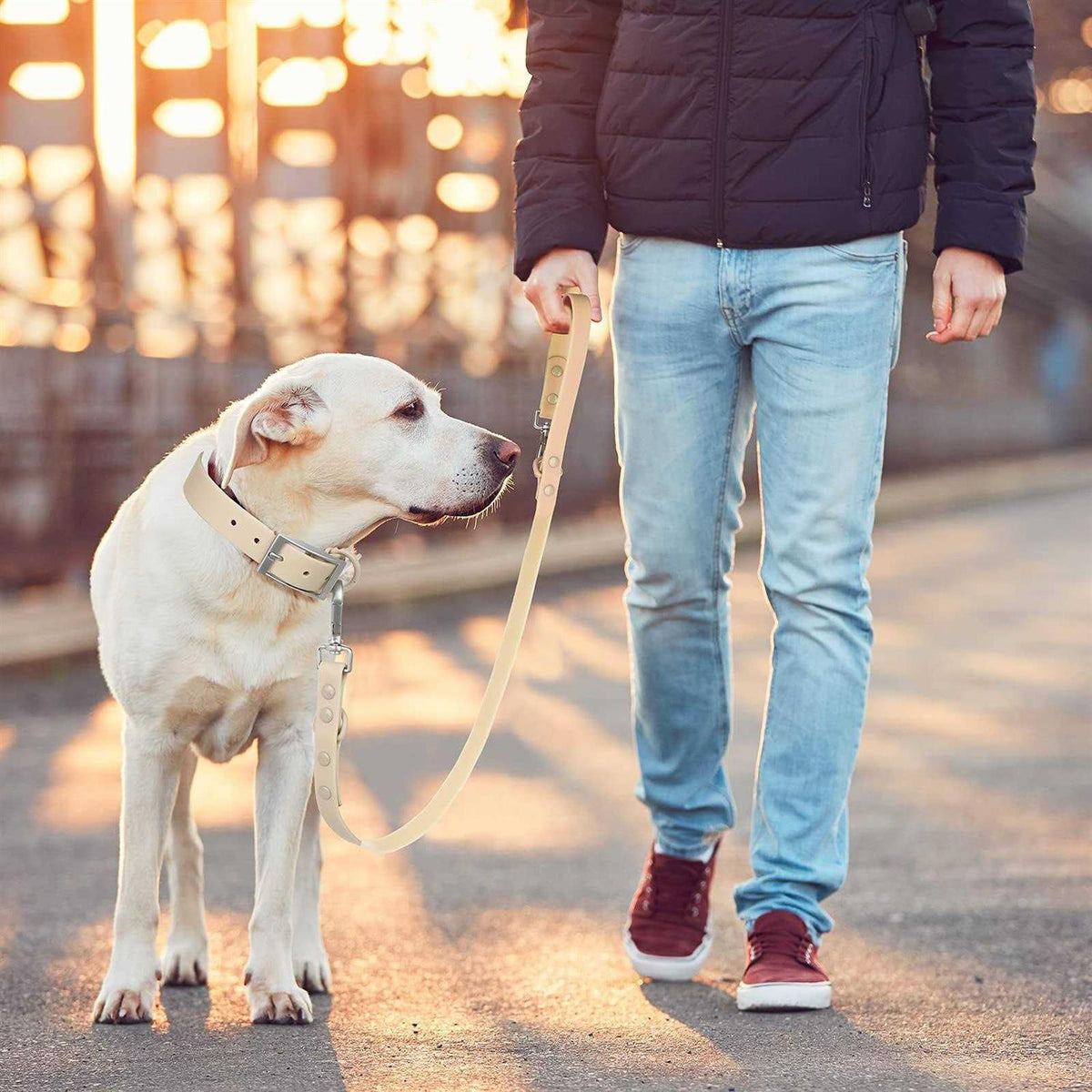 Waterproof Dog Leash with 2 Hooks, Adjustable Lengths R1110