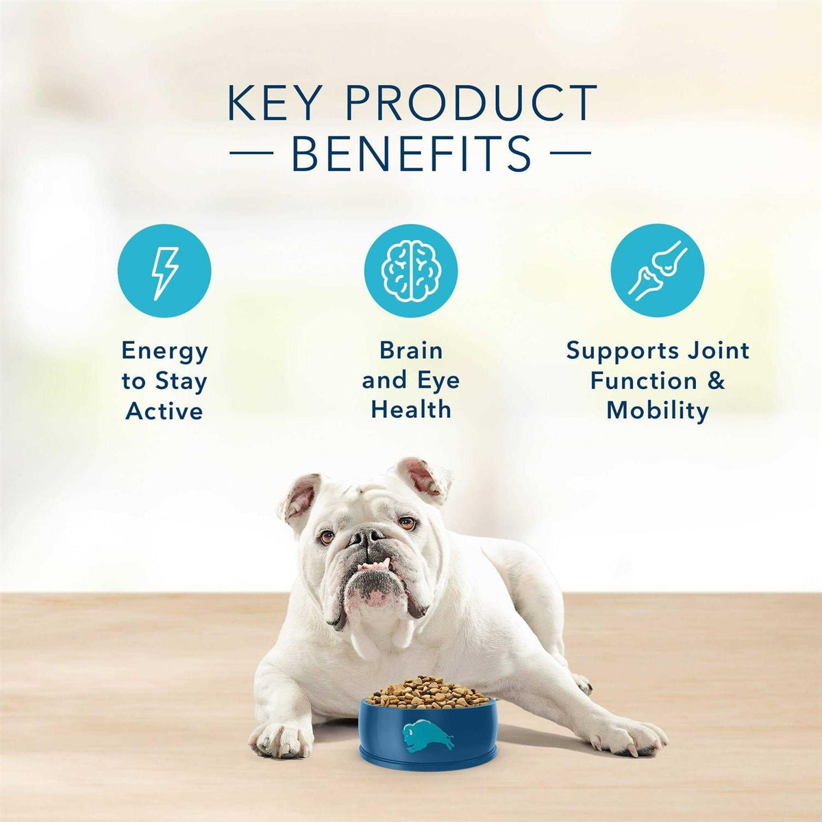 Blue Basics Skin & Stomach Care Natural Turkey & Potato Senior Dry Dog Food E7715