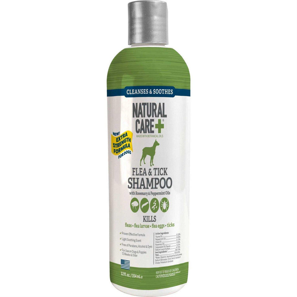 Shampoo J19813