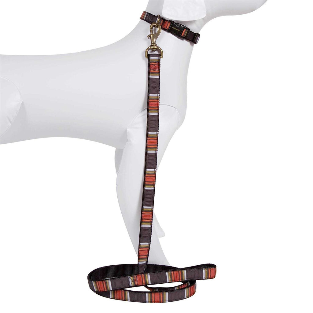 Dog Collar L303792