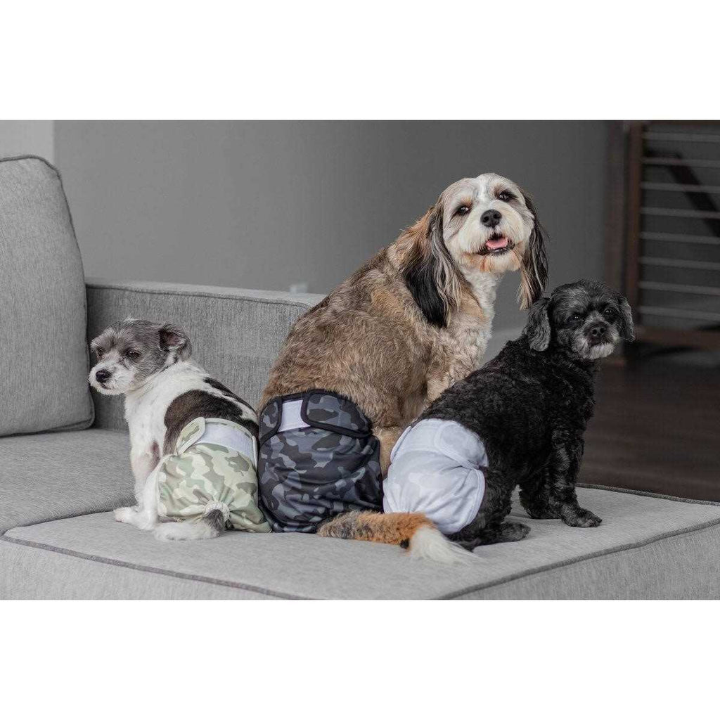 Washable Dog Diapers T455030