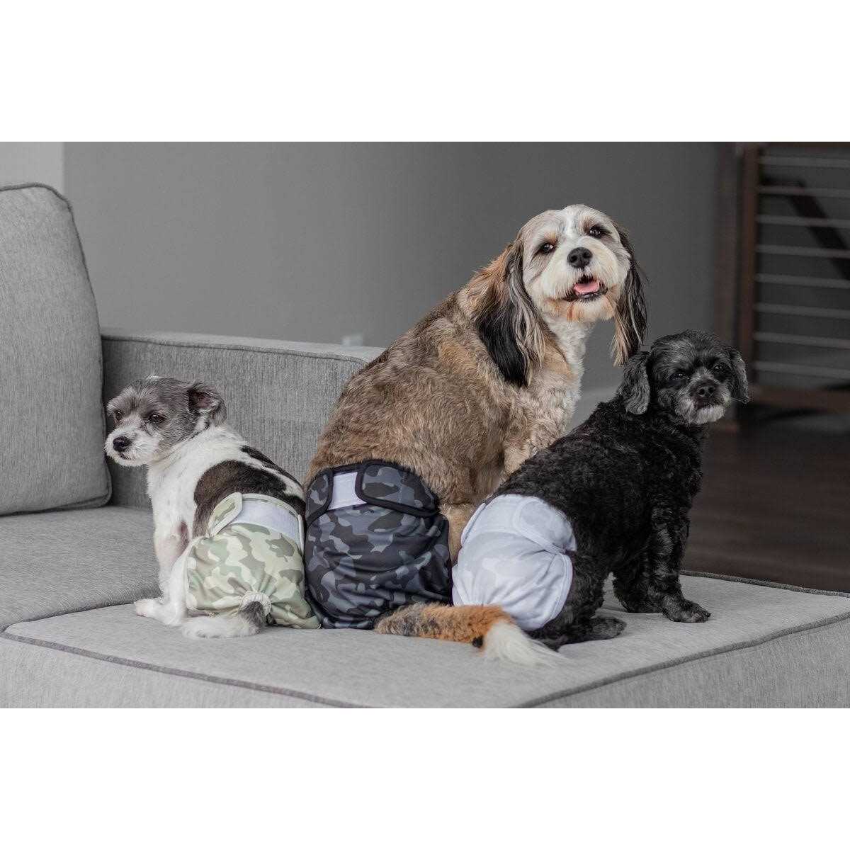 Washable Dog Diapers T455030