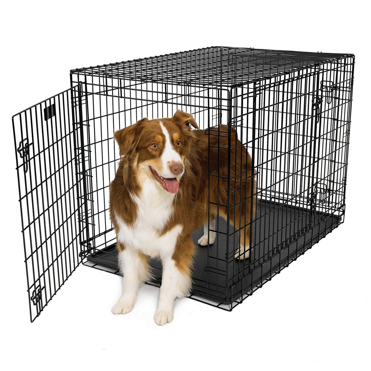 Double Door Dog Crate R7513