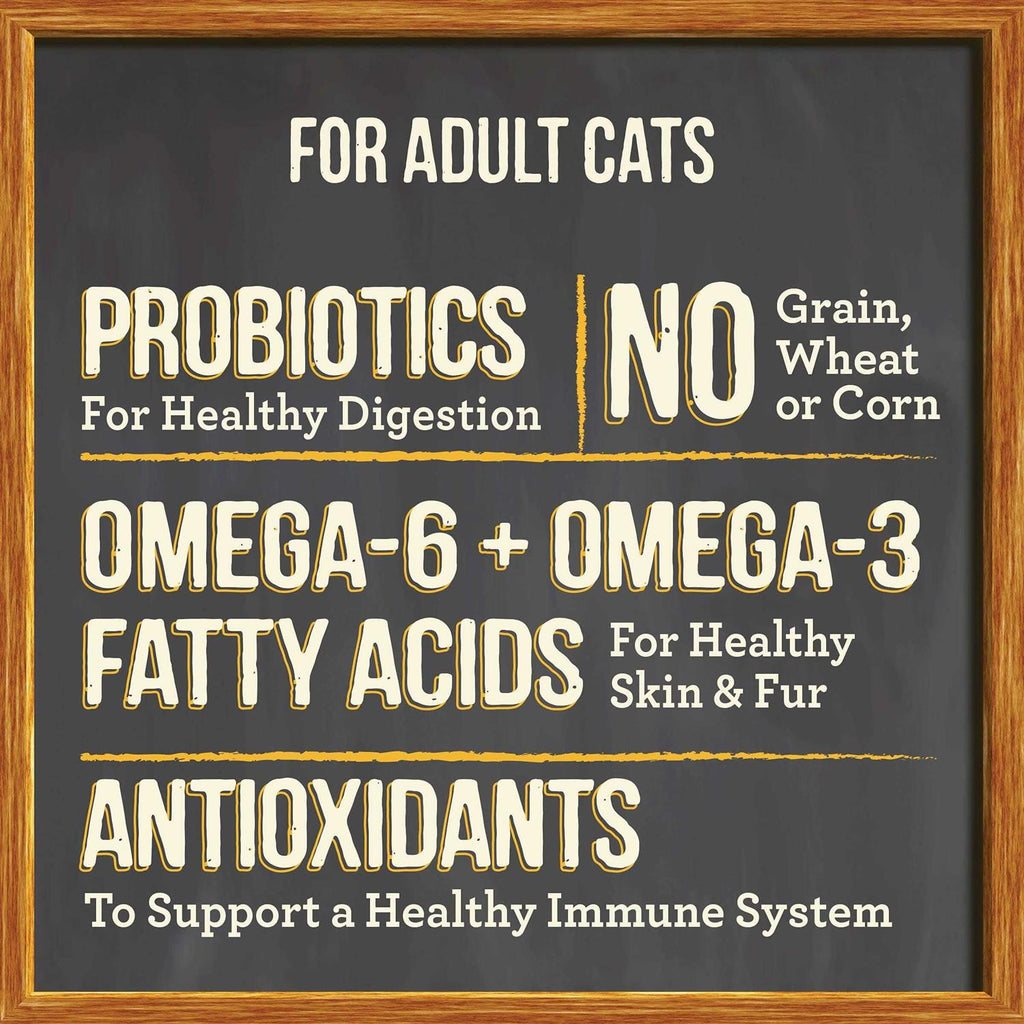 Dry Cat Food X3797