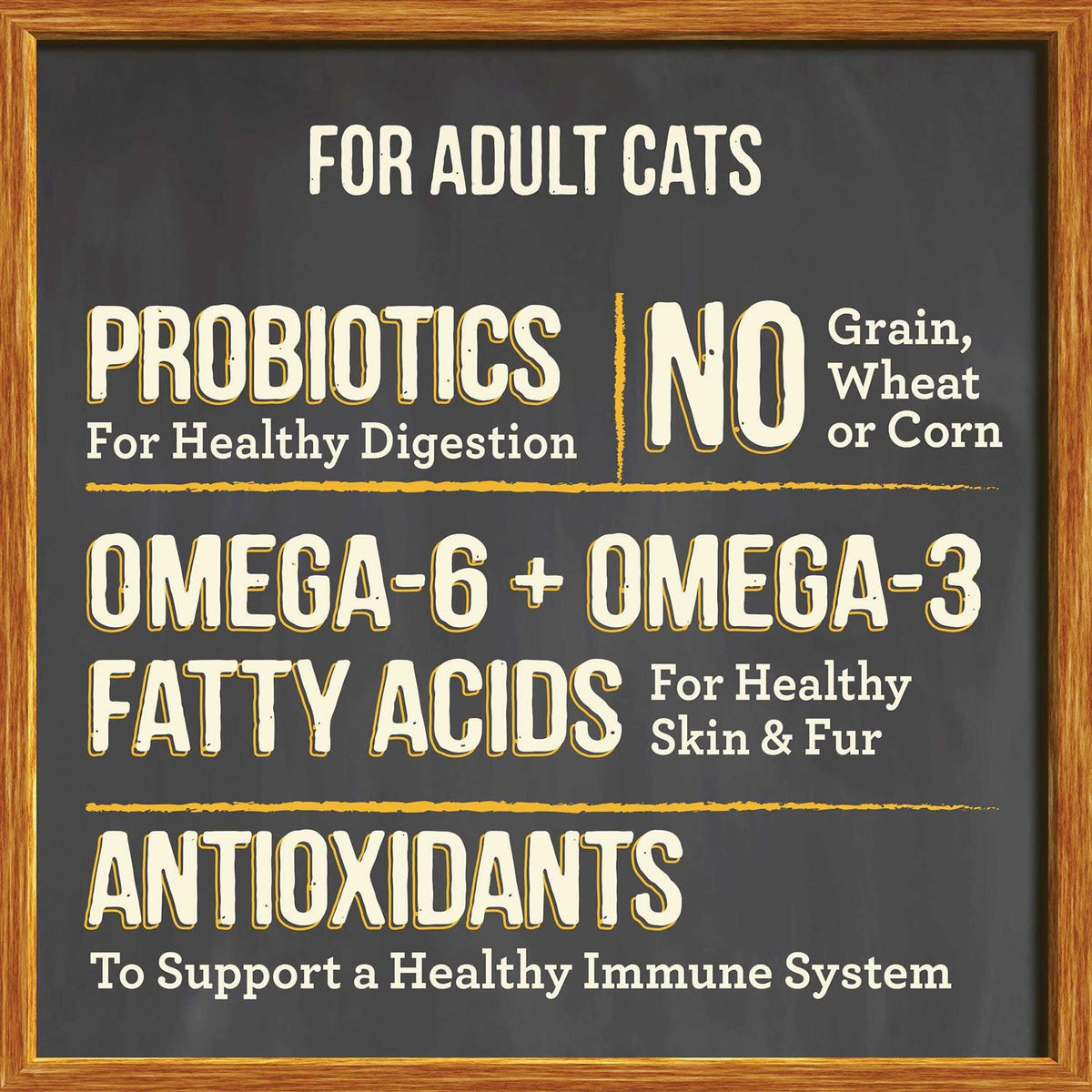 Dry Cat Food X3797
