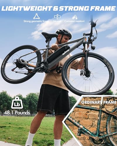 21-Speed Lightweight Electric Mountain Bike with 750W Motor and 375Wh Removable Battery D862