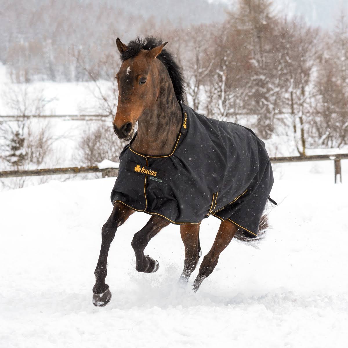 Black / Gold Light Turnout 50 Grams T2966