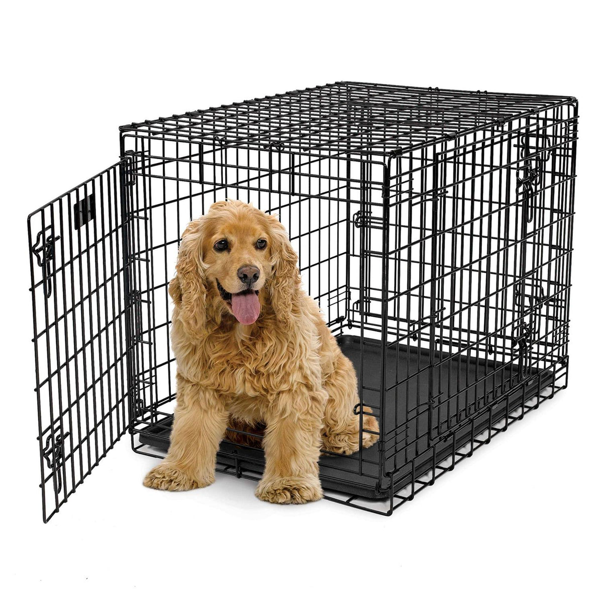 Double Door Dog Crate R7513
