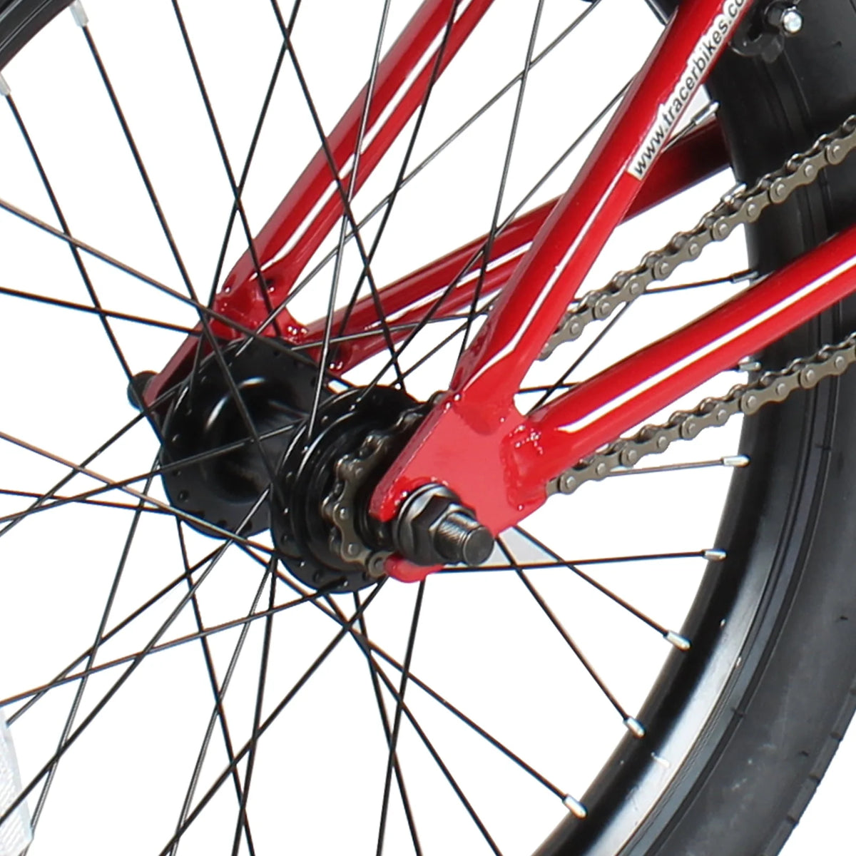 20 Inch Hi-Ten Steel Frame BMX Bike L307944
