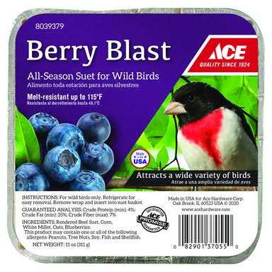 Beef Suet 11 oz A323404