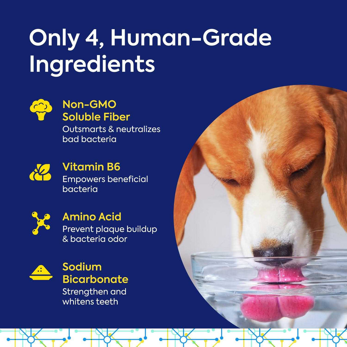 Pet Supplies C237