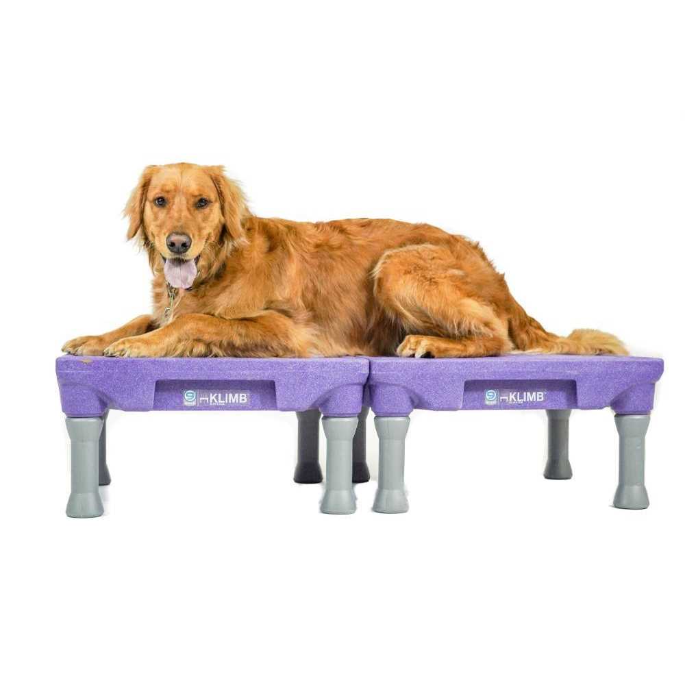 Dog Training Platform & Agility System V881