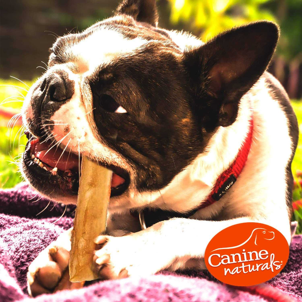 Chicken Recipe Stick Dog Chew O771