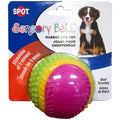 Sensory Ball Dog Toy G8394