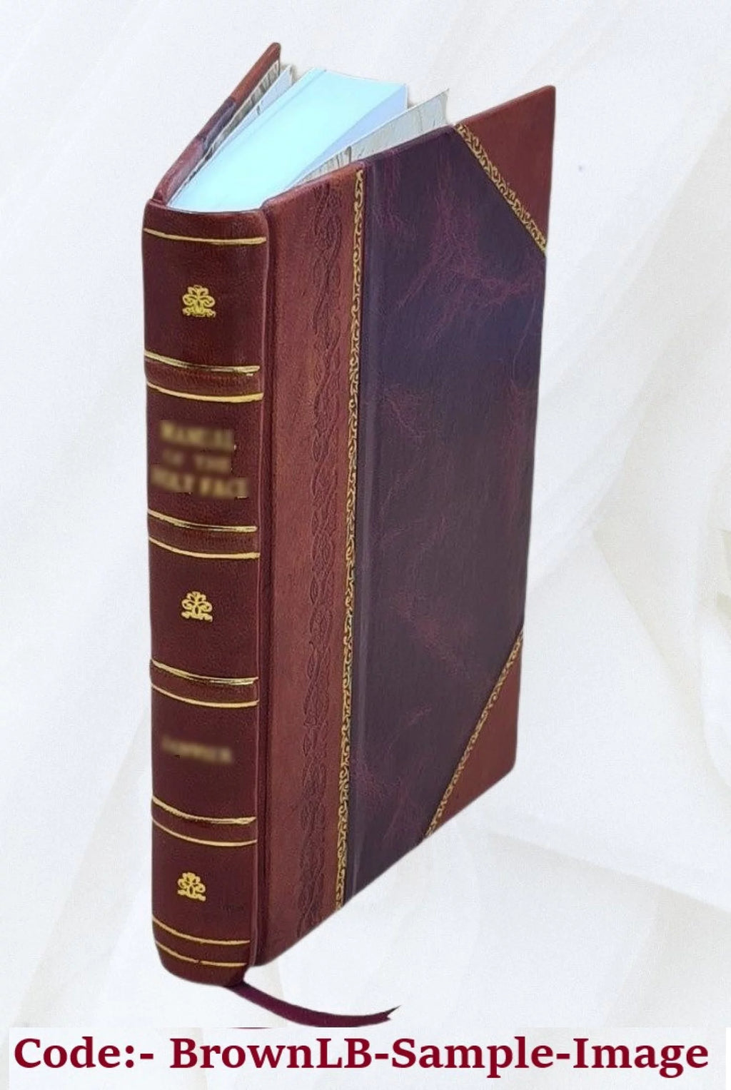 Mexiko Ereignisse 1868 Leather Bound Q975