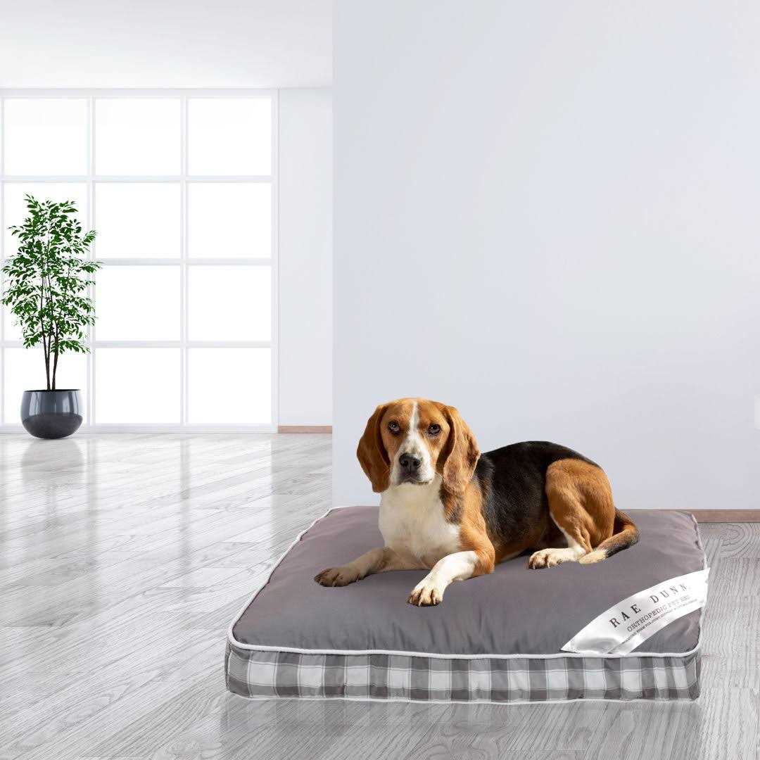 Orthopedic Pet Bed Y2049
