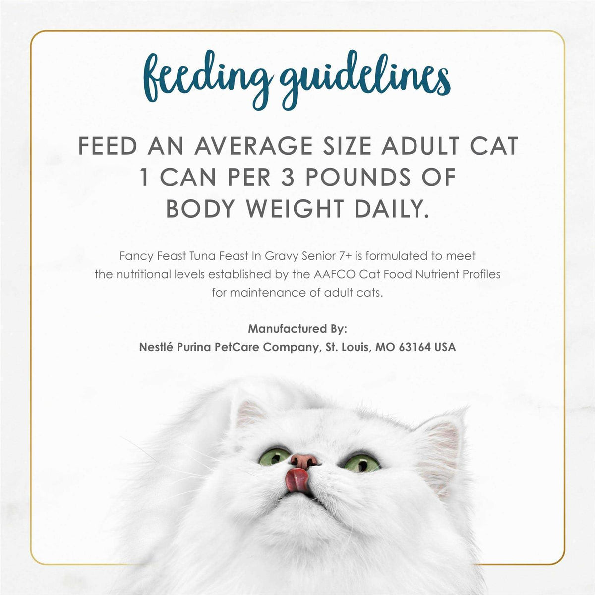 Wet Cat Food J3069