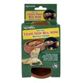 Mealworm Reptile Feeding Dish H194304