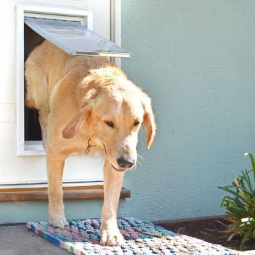 Tan Medium Single Flap Pet Door P99214