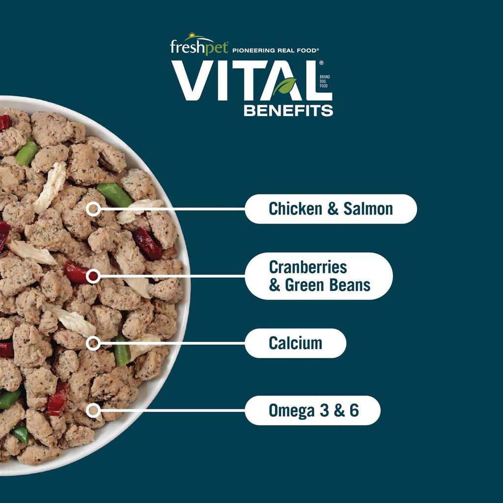 Fresh Dog Food A713