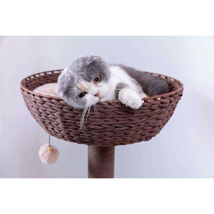 Brown Cat Tree R87723