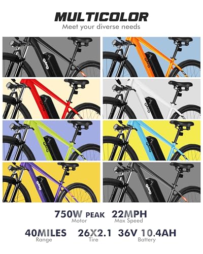 21-Speed Lightweight Electric Mountain Bike with 750W Motor and 375Wh Removable Battery D862