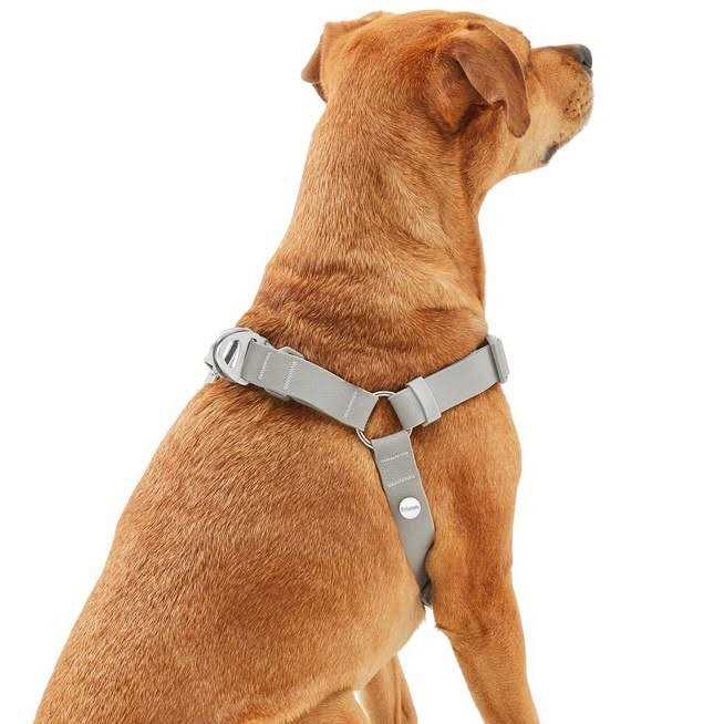 Outdoor Waterproof Pvc Dog Harness W89026