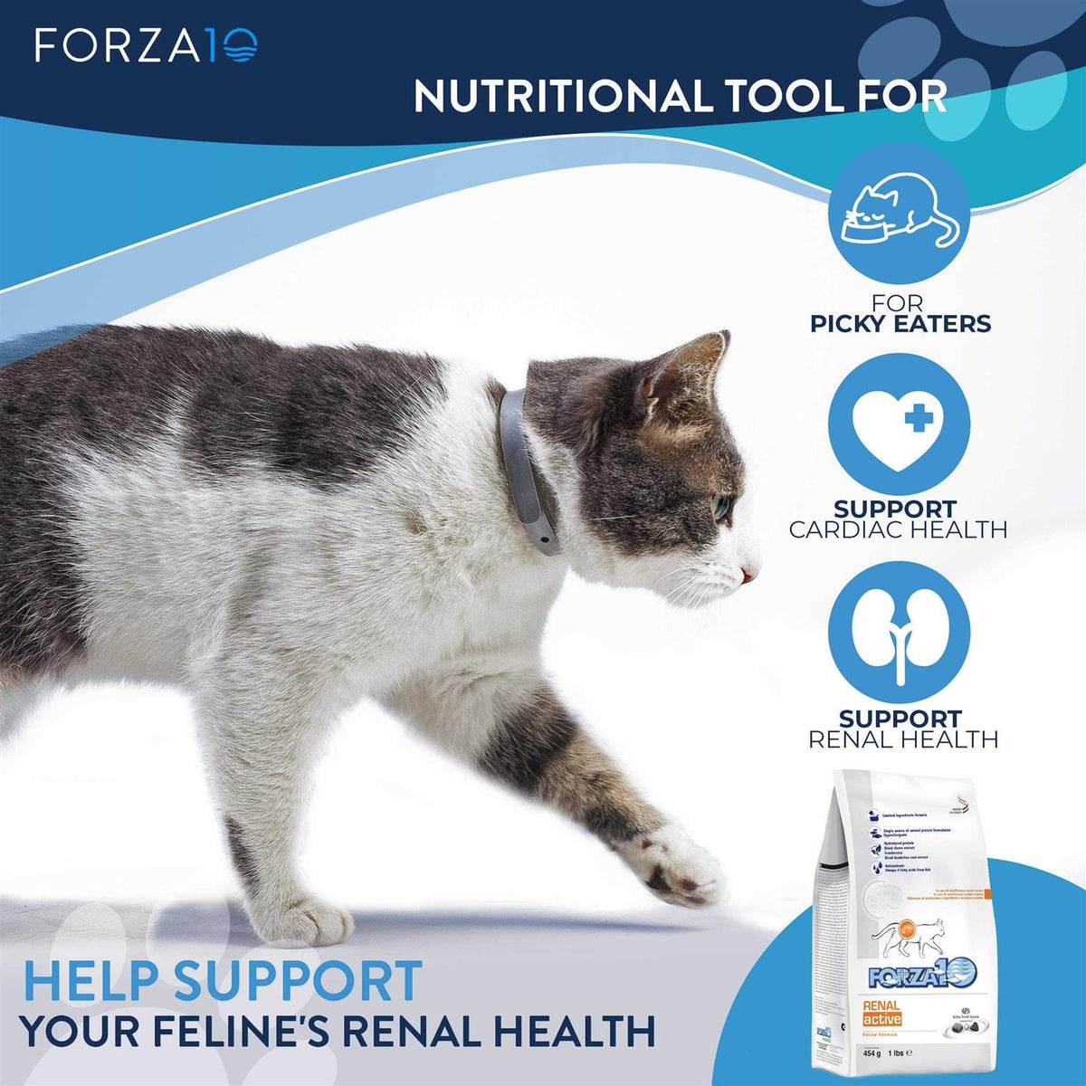 Kidney Support Diet Dry Cat Food P3437