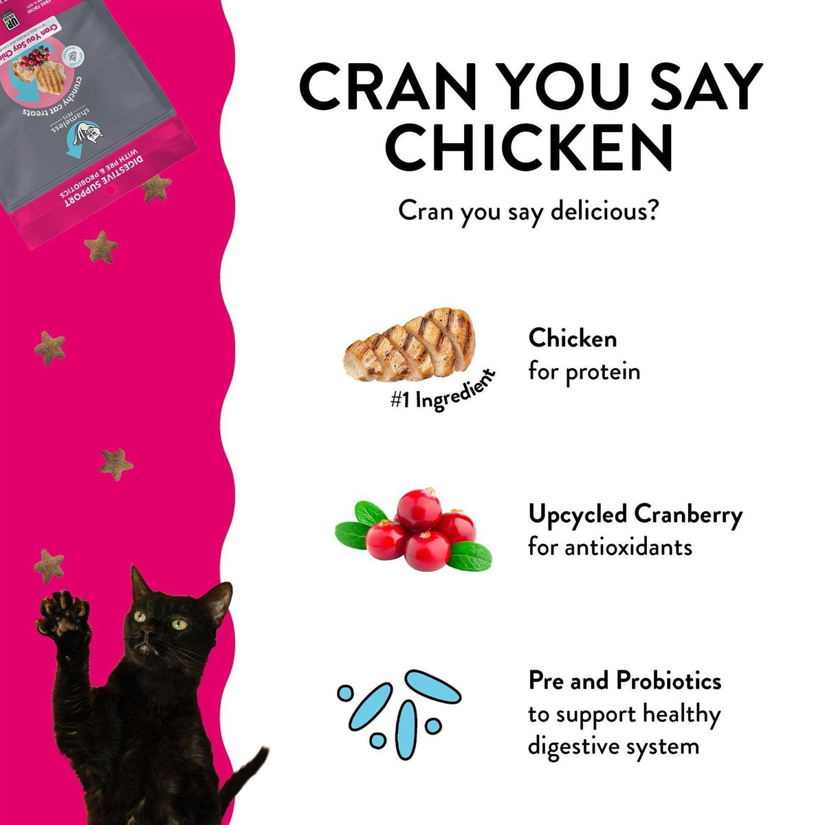 Crunchy Cat Treats H596