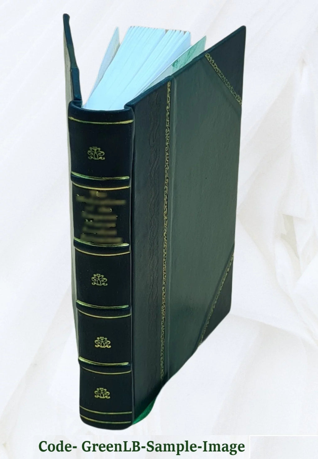 Mexiko Ereignisse 1868 Leather Bound Q975